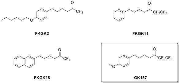 Fluoroketone iPLA2 Inhibitors