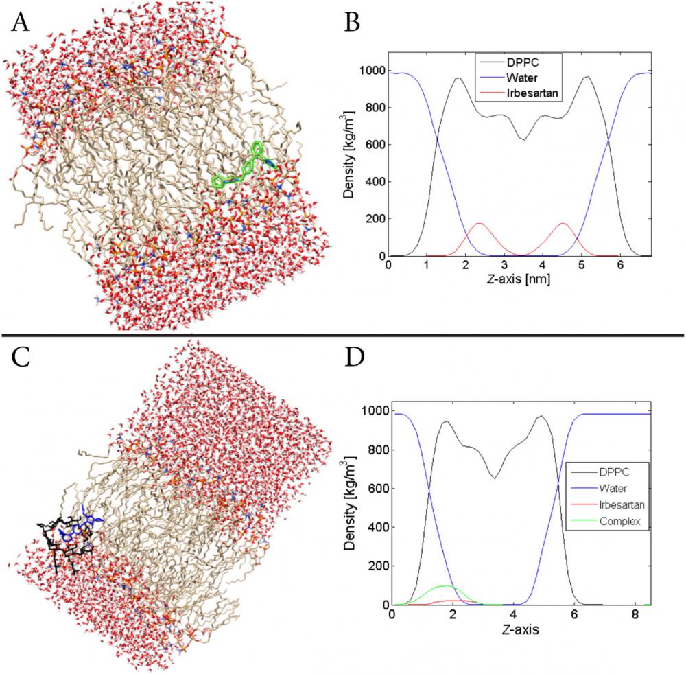 A) Snapshot of one IRB molecule in the DPPC bilayer. The green contour is employed for a better visualization of the molecule in