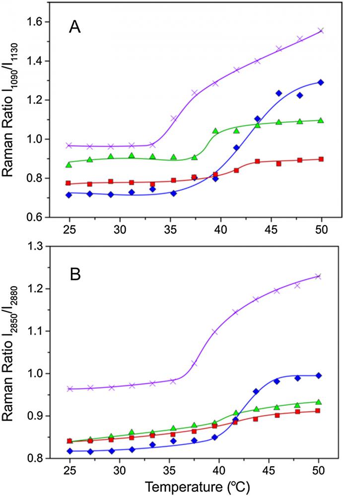 I1090/I1130 vs. temperature plots for pure DPPC (Full-size image (&lt;1 K)), DPPC containing 20 mol.% of aliskiren (Full-size image