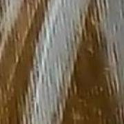 img-186404ca92ddd77cc962777810371297-v.jpg
